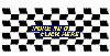 Checkered Flag Decal Graphics cfg116
